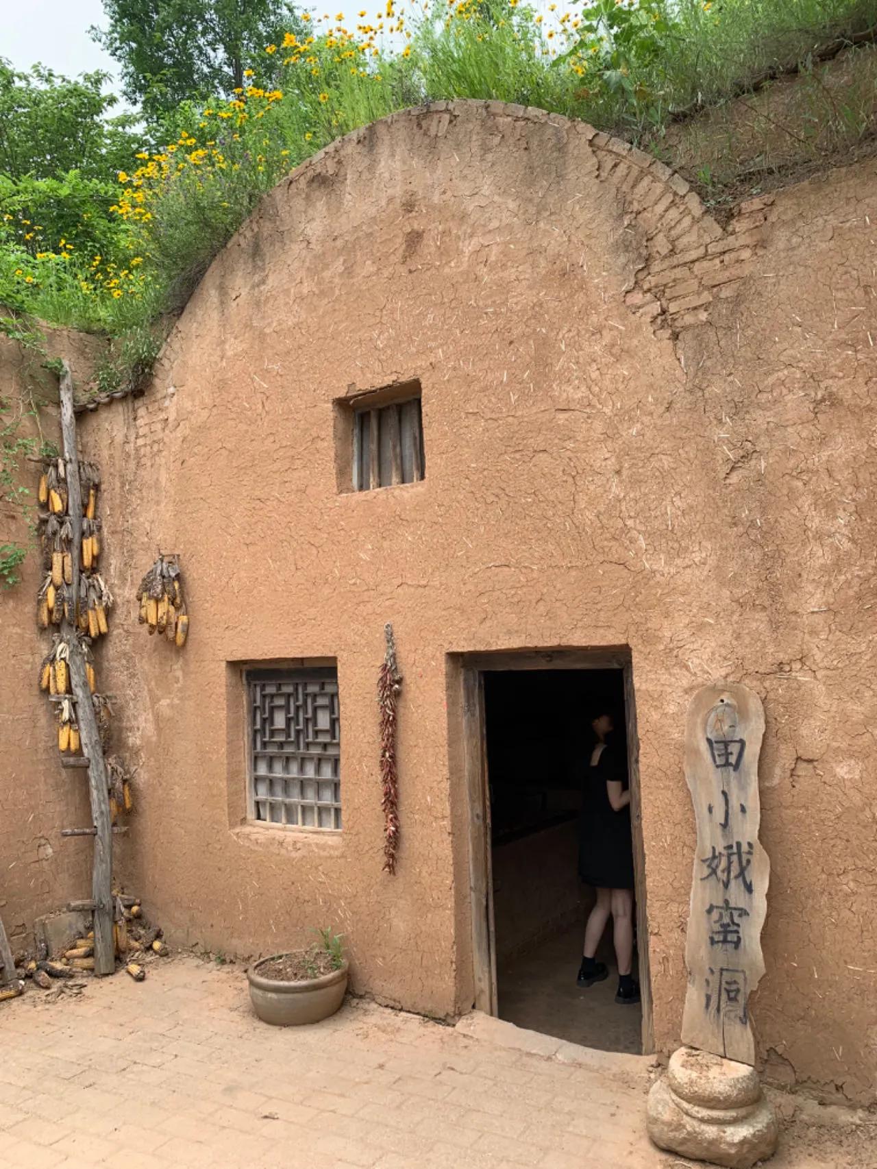 陈忠实为何要在《白鹿原》中提到田小娥“泡枣”的封建陋习？