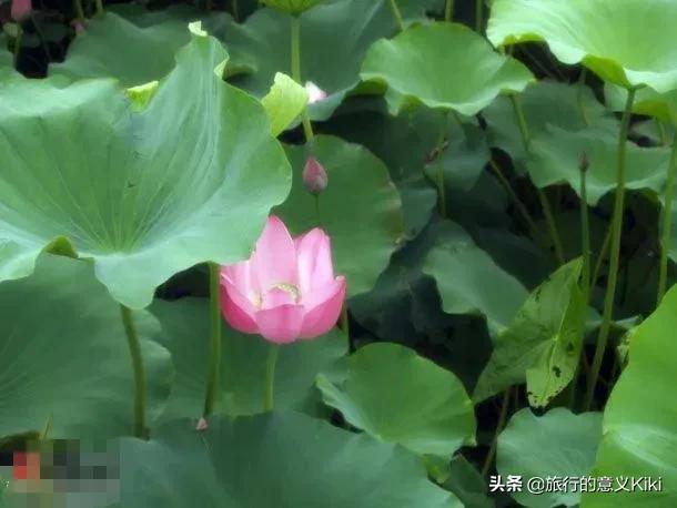 上海自驾西山旅游攻略,苏州东山一日游自驾游最佳路线图