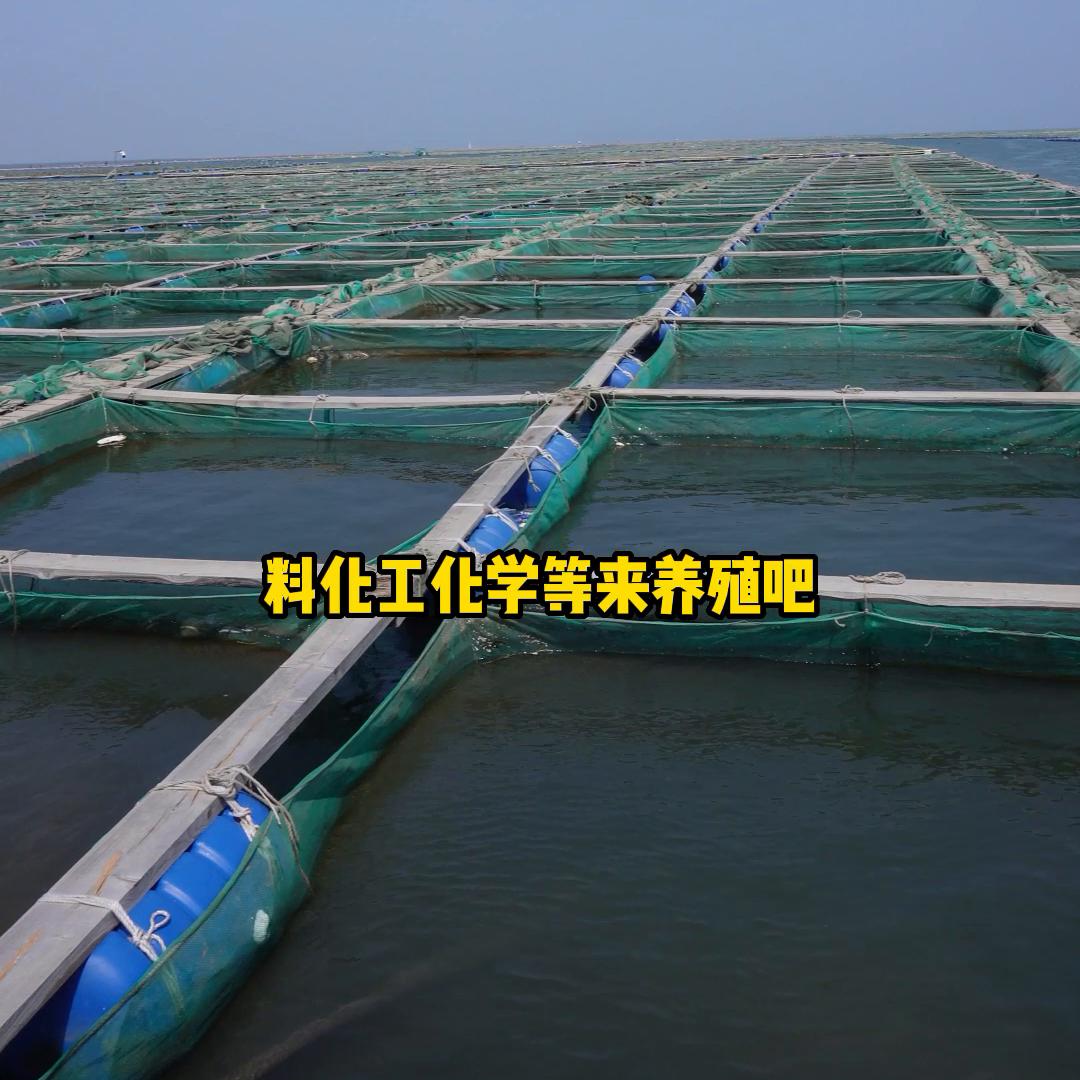 19.9即食海参,3.5元一个海参怎么样