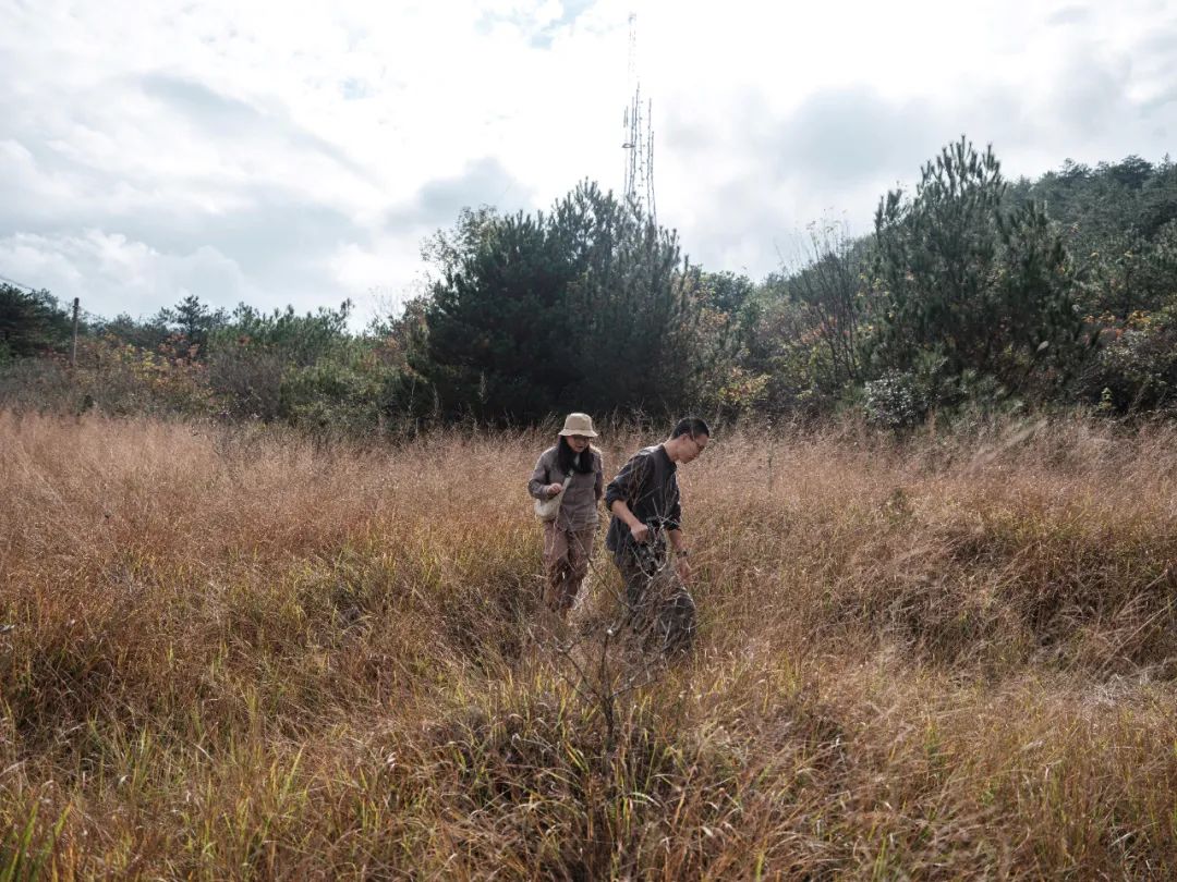 关于顶流如何崛起,曾经的顶流真的过时了吗