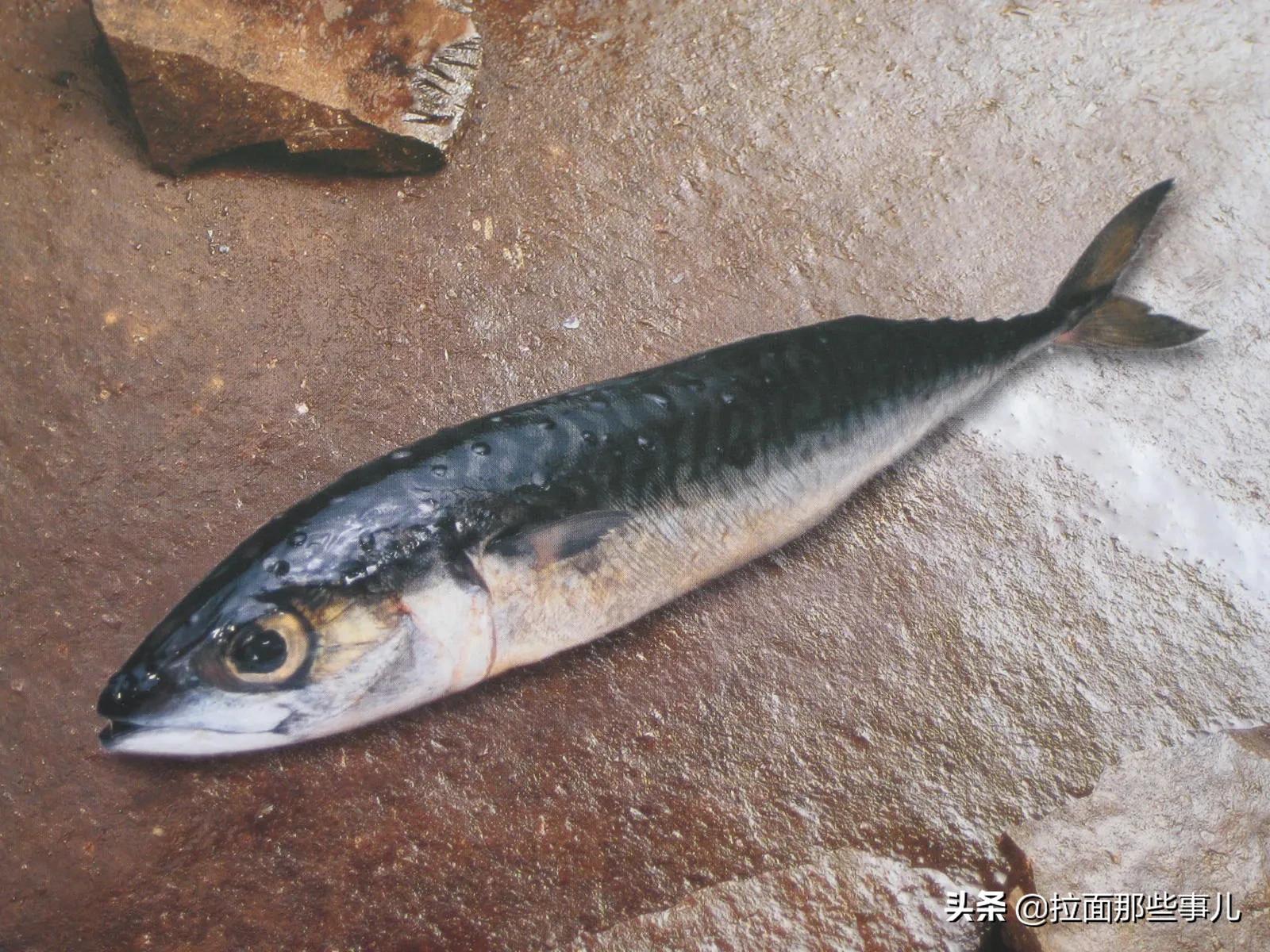 建议中老年人，少吃面食和猪肉，多吃这6种鱼，越吃越健康