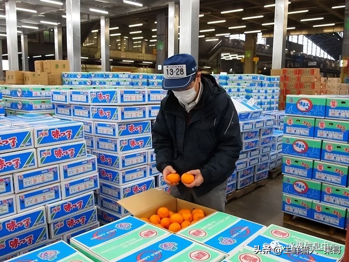 世界第一果蔬批发市场,中国十大果蔬批发市场