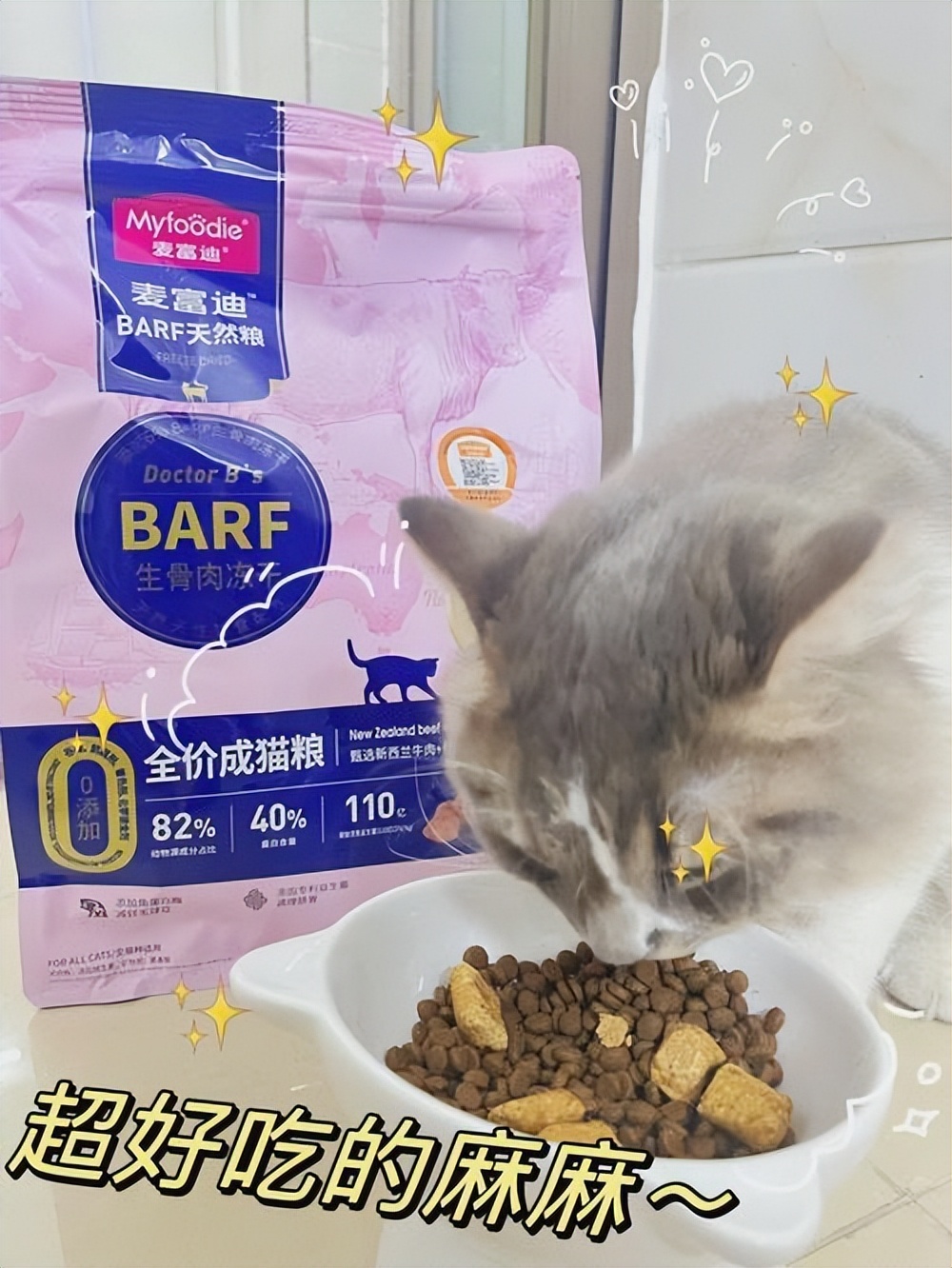 猫吐的颜色分析,猫吐的样子是什么样的