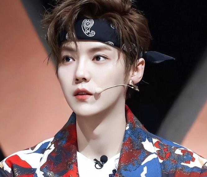 鹿晗为什么很红平常却看不到,鹿晗为什么突然火起来了