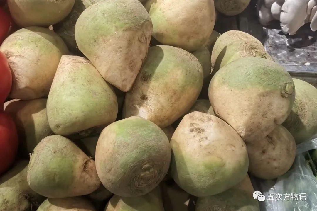 根类食物大全 (5种根菜类的食材)