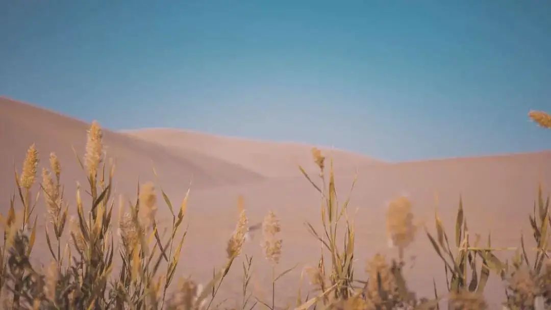 鸣沙山月牙泉游记,鸣沙山月牙泉之行