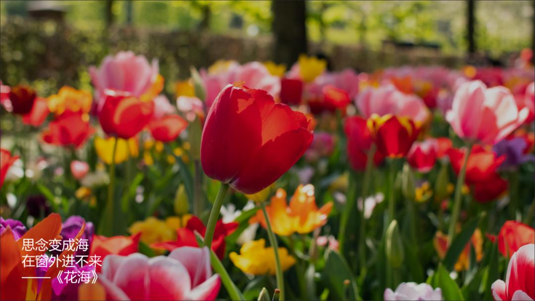 没十年工龄背不出这通勤包|冷段子2520去年今日2162