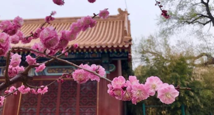 清明北京周边一日游景点推荐,清明节去哪里旅游比较好玩呢北京