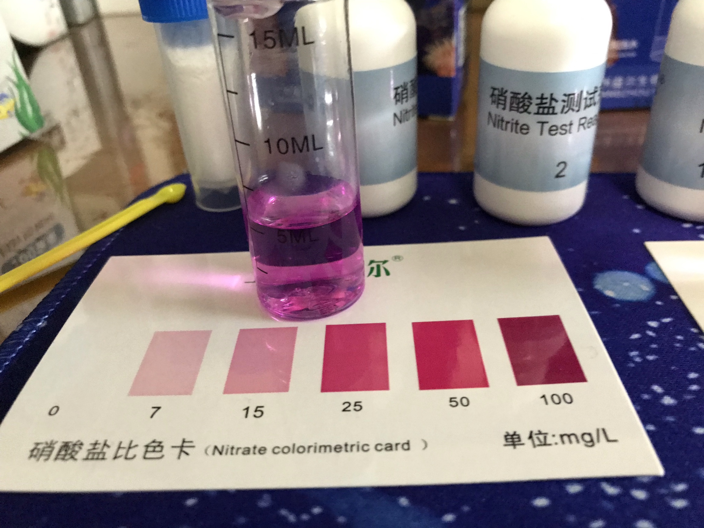 鱼缸硝化系统崩溃是什么原因,新鱼缸最快建立硝化系统时间