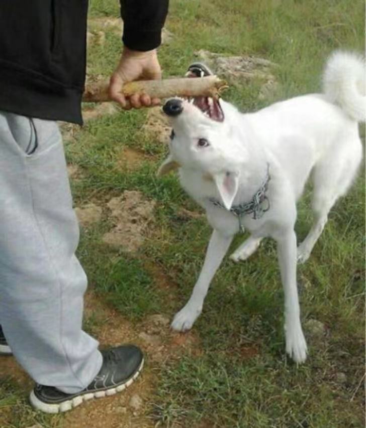 21张罕见照片让人眼界大开,26张令人惊叹的罕见图