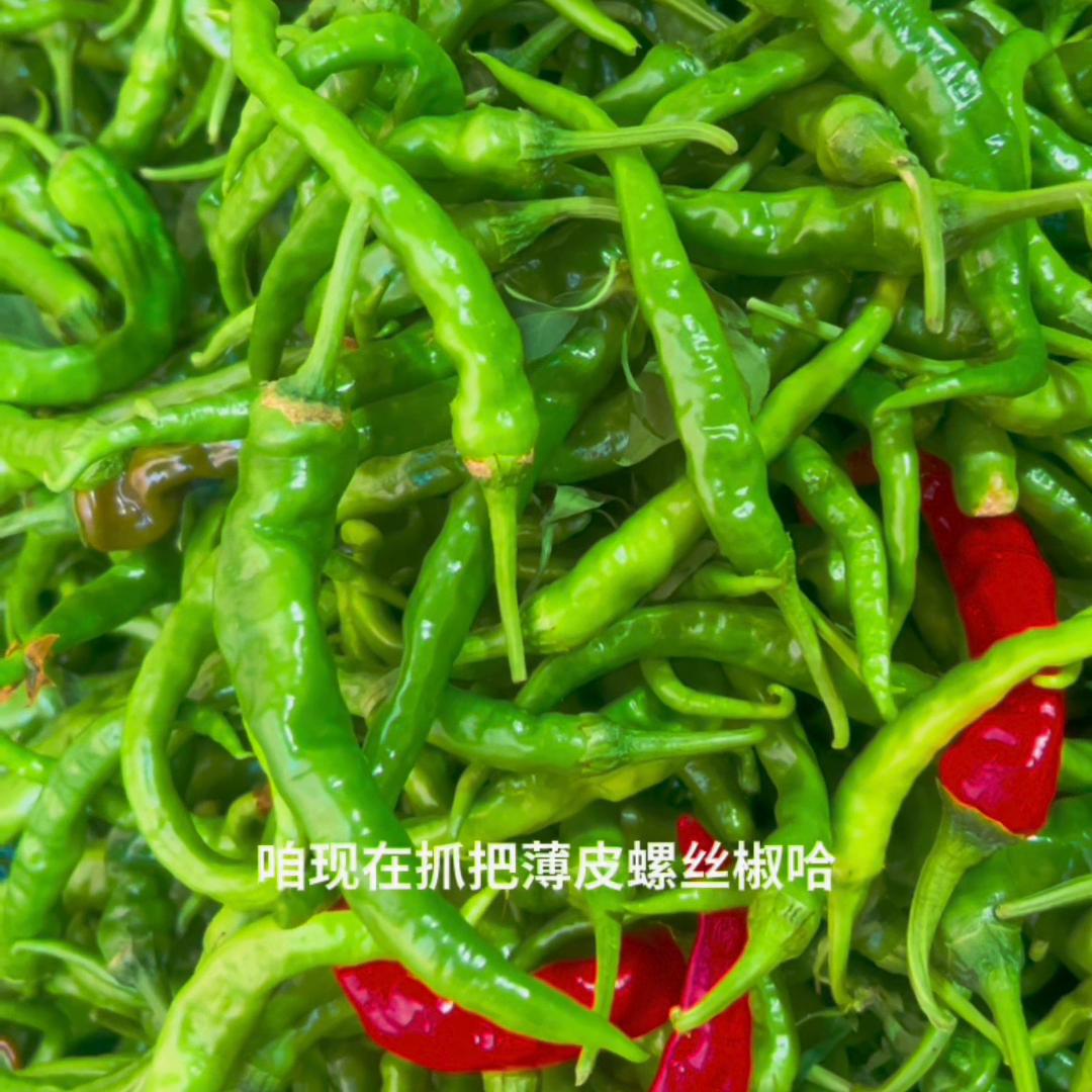 邳州巧连姐食品,邳州巧姐食品加工厂