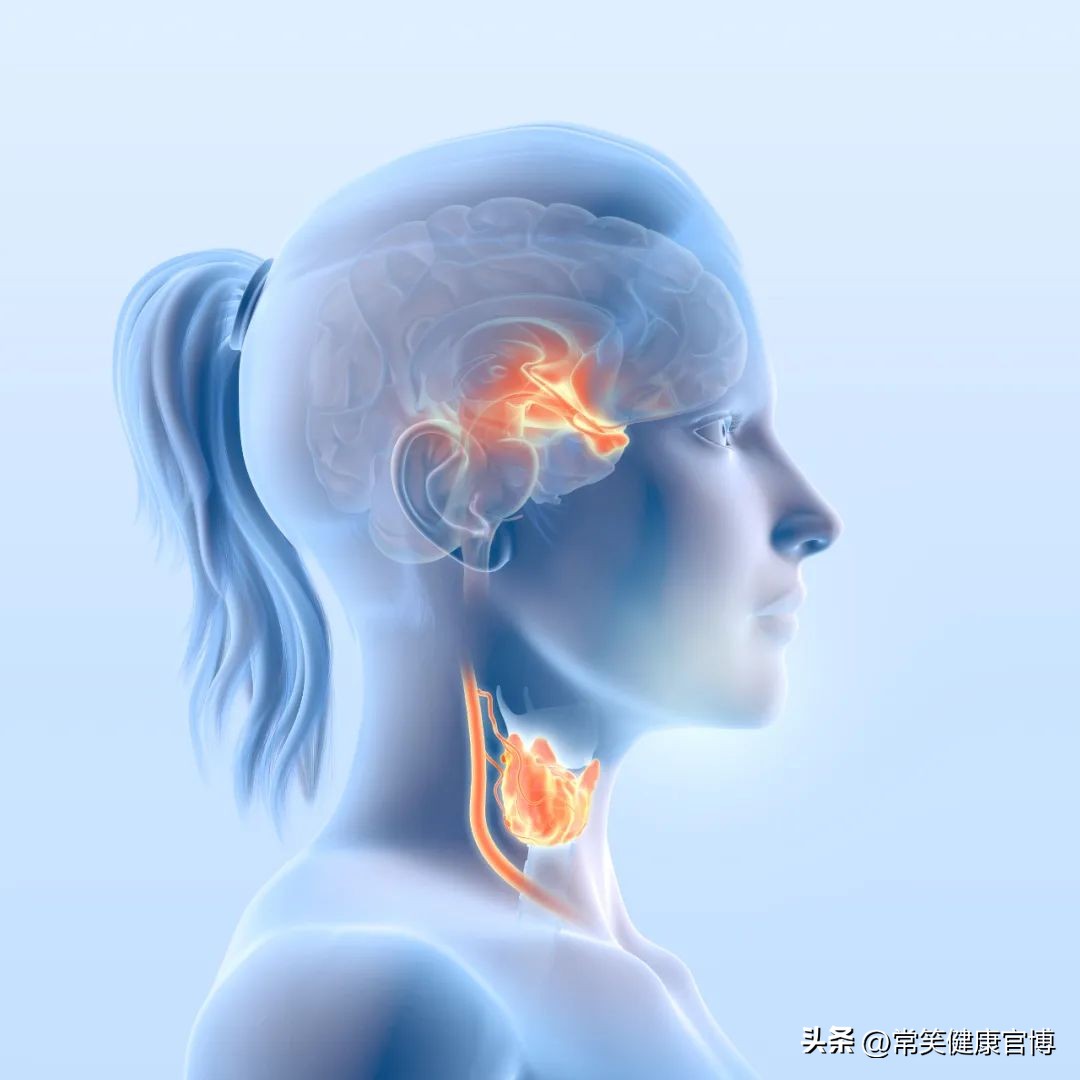 衰老到底从哪里看出来的,你真的了解什么是衰老吗