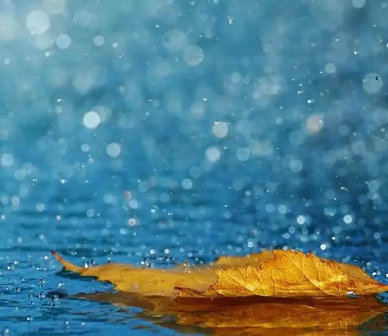 下雨天的唯美句子图片,下雨天美丽风景的句子