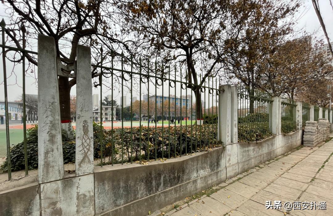 咸阳彩虹厂辉煌历史,咸阳彩虹厂板块怎么样