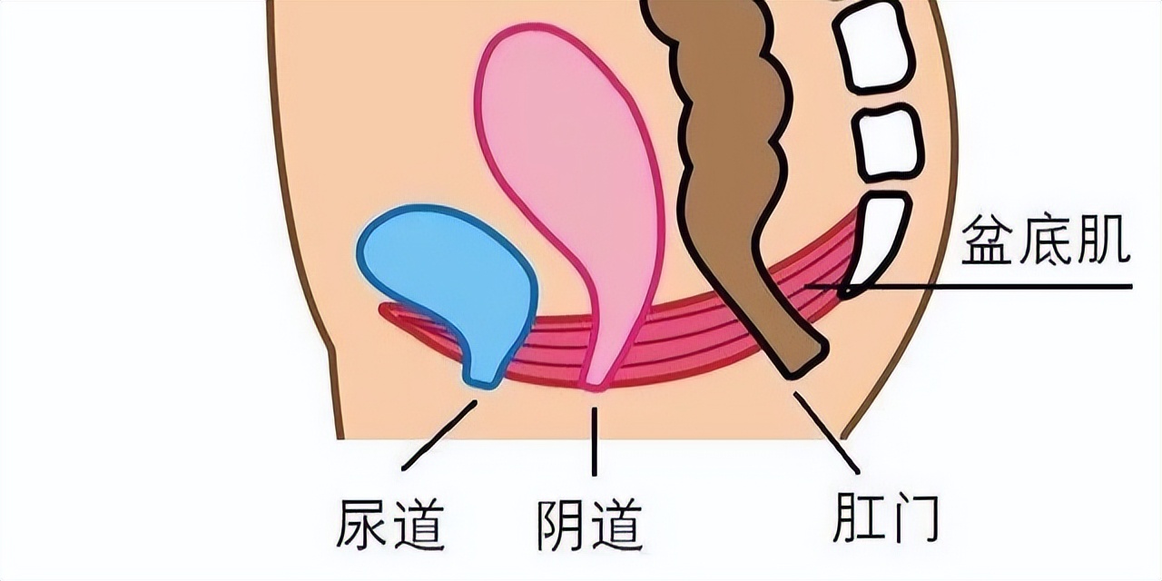 同房结束后可以用纸巾擦吗？医生坦言：3大危害，你可能无法承受