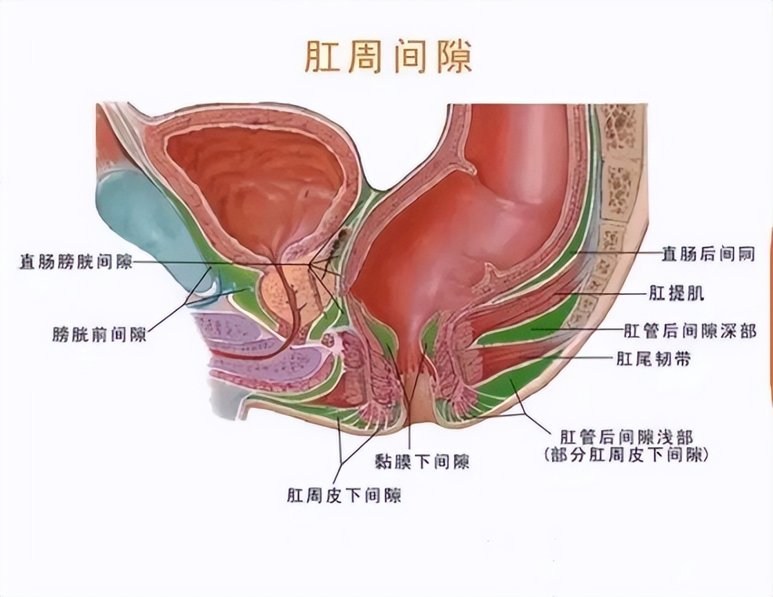 肛门瘙痒潮湿是什么原因怎么治疗,肛门周围潮湿又痒怎么治疗
