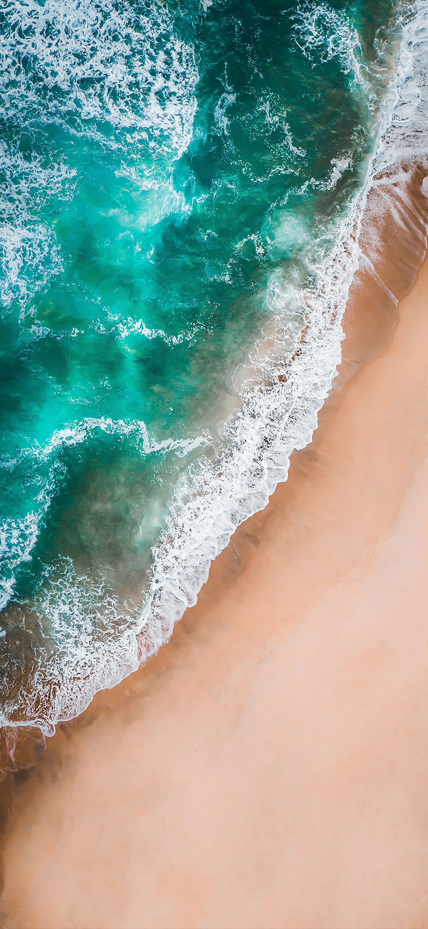 风景壁纸春,春天有百花秋有凉风冬有雪壁纸