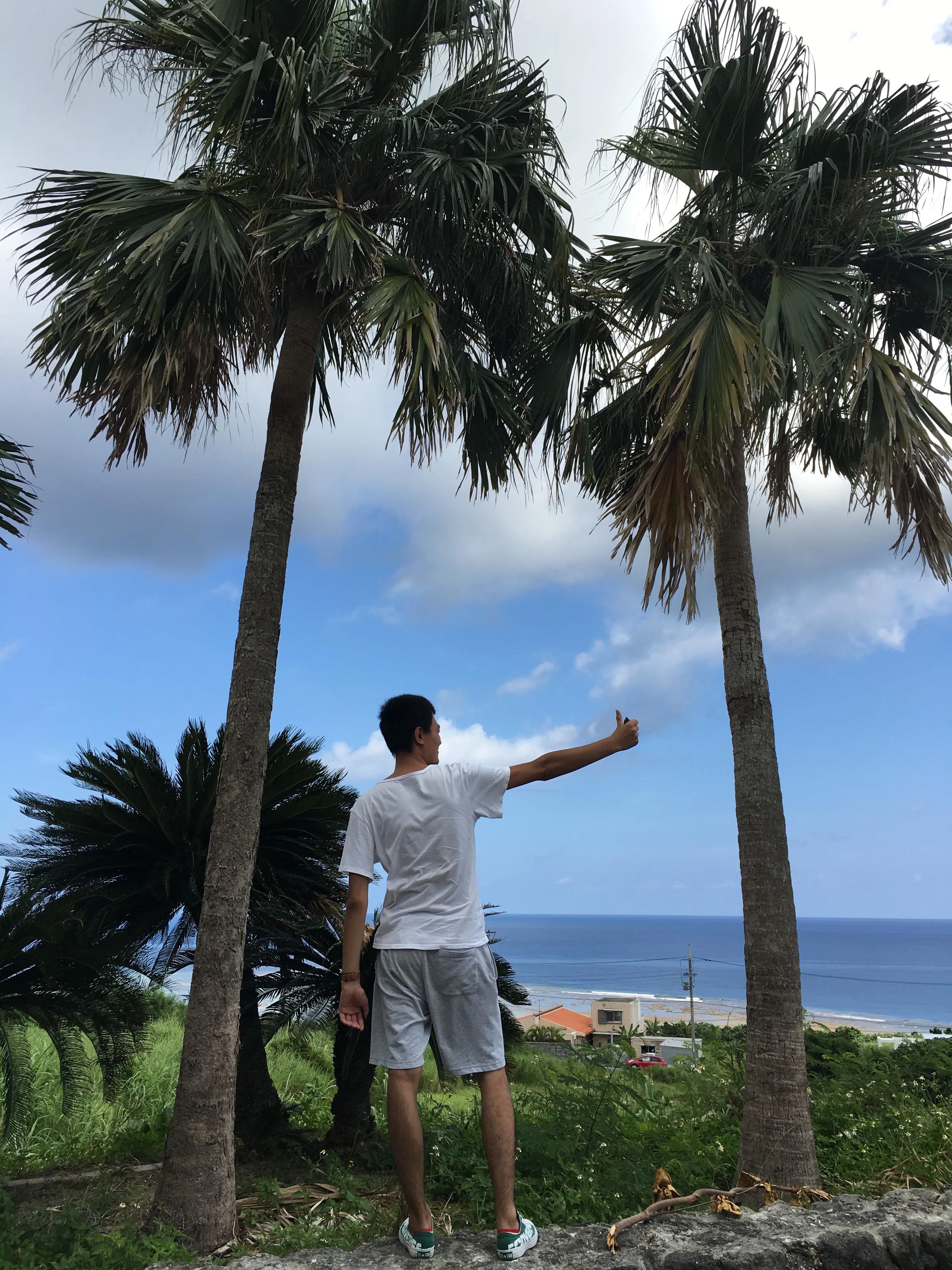 日本冲绳旅游攻略自由行最新,日本冲绳旅游攻略大全