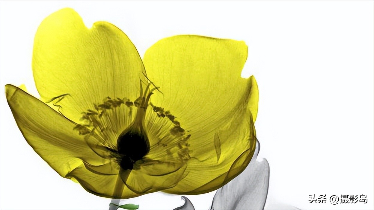 x射线数字成像检测专家,x射线专家