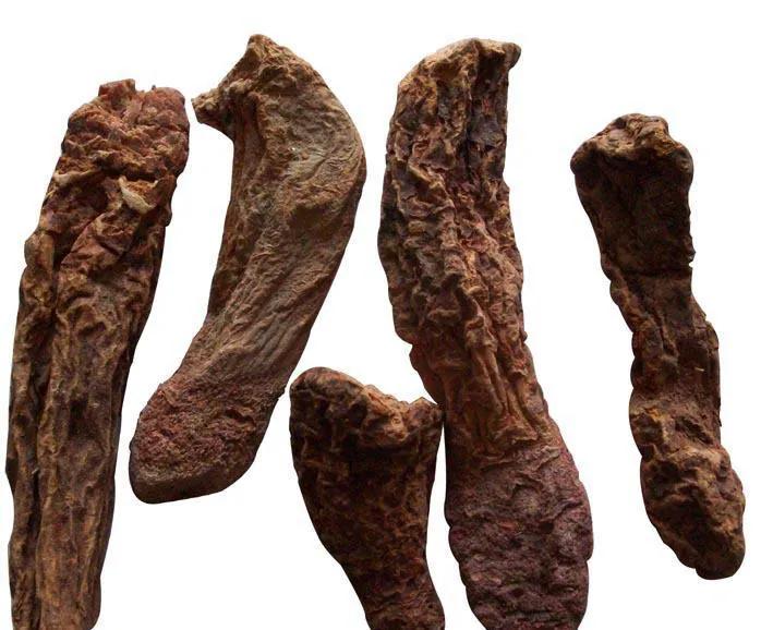 吃着补肾的中药嘴上起泡,吃补肾药嘴起泡是什么原因