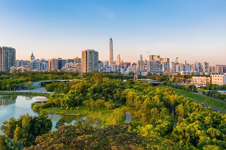 开创高质量跨越式发展新局面,福田区产业体系中长期发展规划