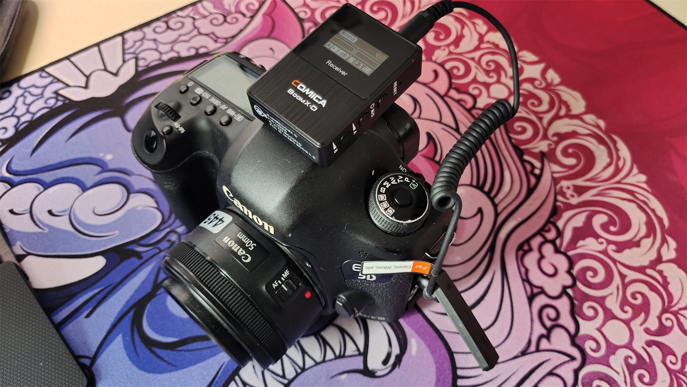 5d3跟r10拍照画质对比,佳能r10还是选择老款5d3