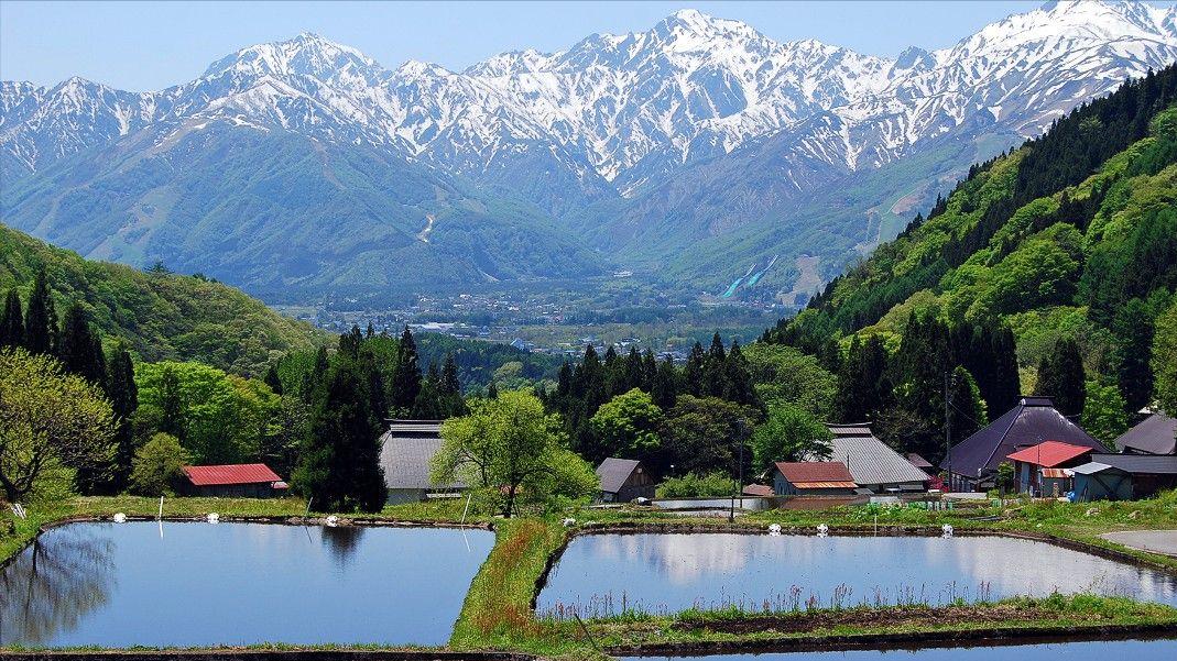 日本购买大量海外土地，累计面积已超本土3倍，究竟是何意图？