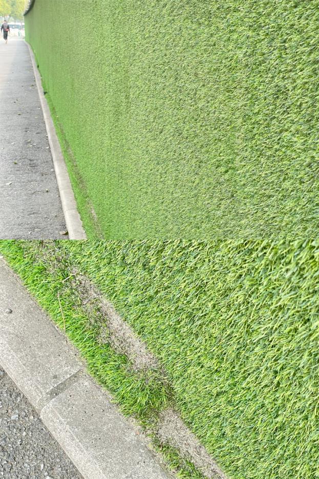 离谱？一双草鞋居然卖1.45万！网友：真“拔草”了