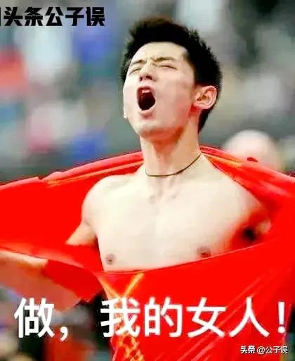 张继科刘诗雯之间的秘密,张蕊张继科刘诗雯