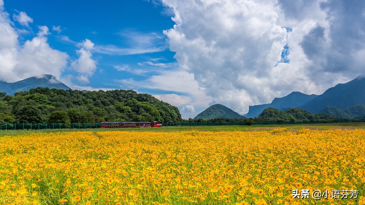 诗经邶风简兮释读,诗经邶风简兮的意思是什么