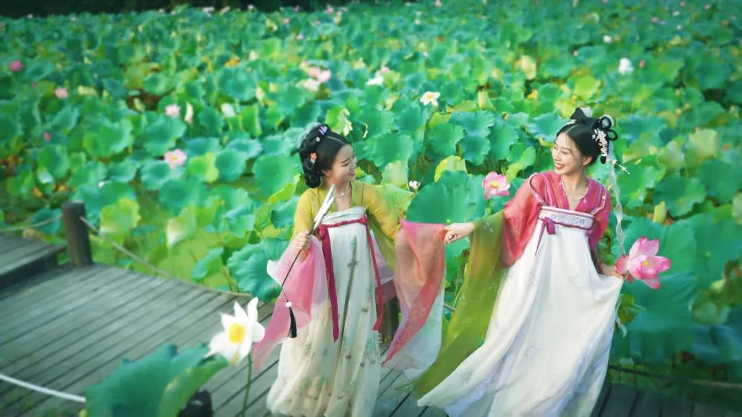 小暑已至！夏日顶流登场，一池荷风，满院莲香，惊艳了整个夏天！