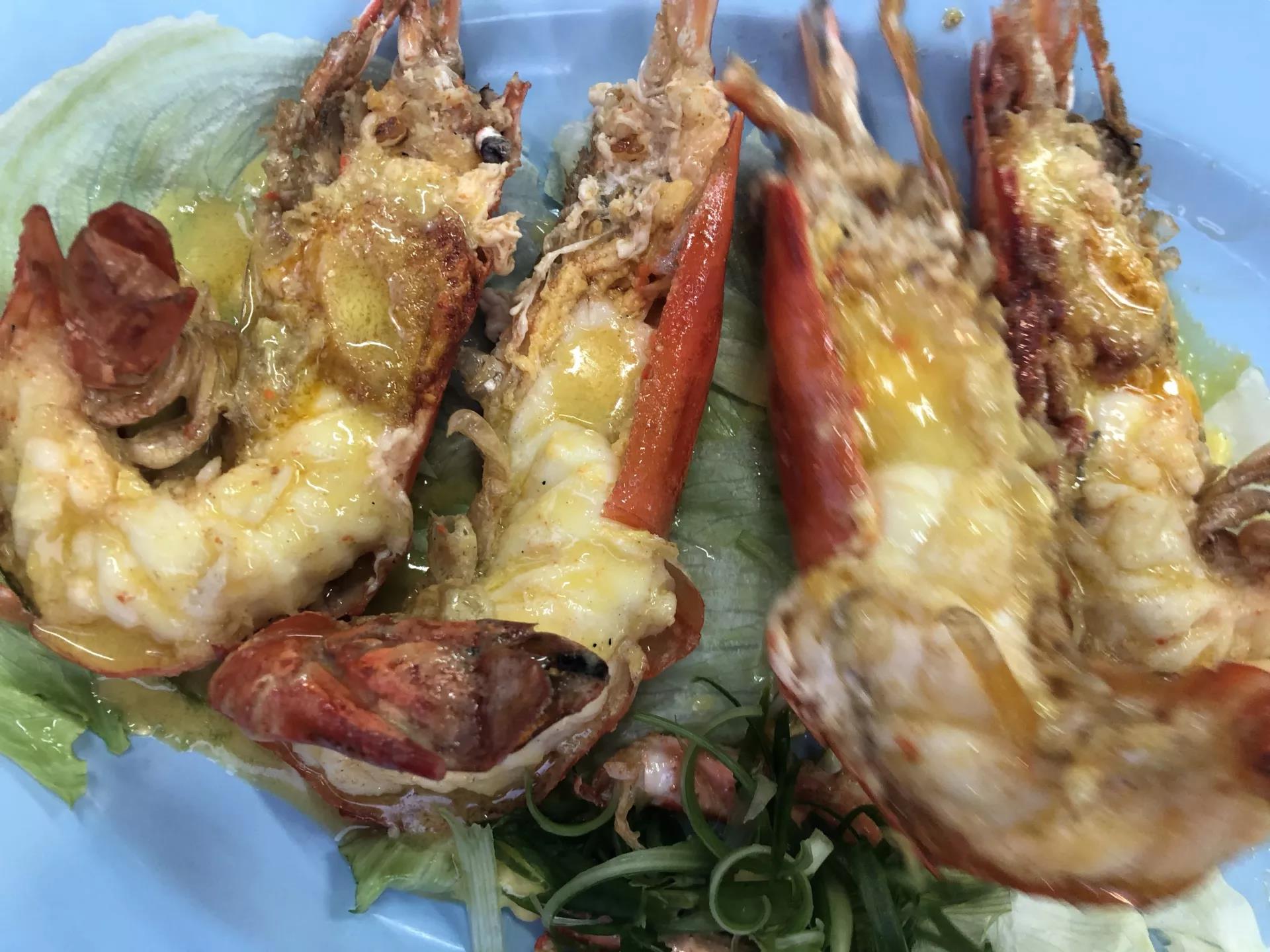 钱猫猫王者荣耀,钱猫猫的视频