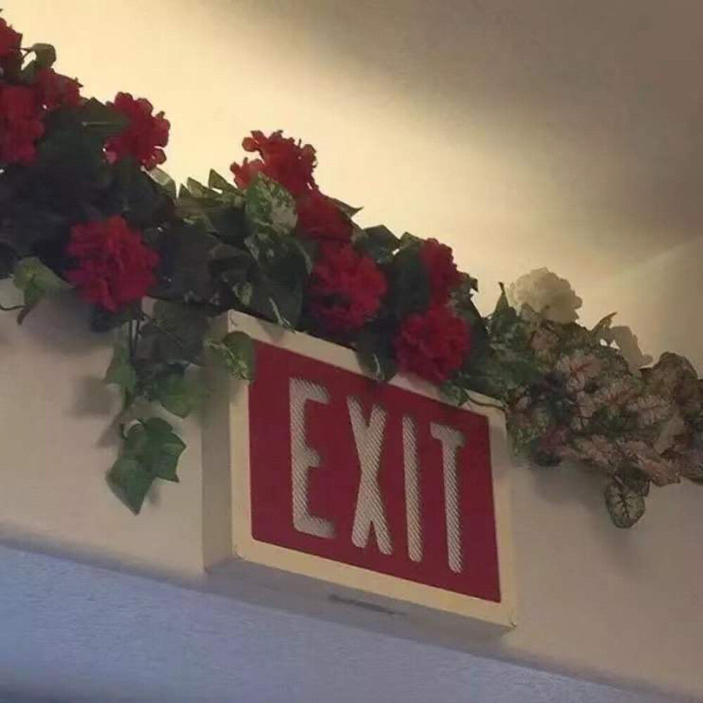 重名率很小的高级英文网名,有哪些重名率很小的网名