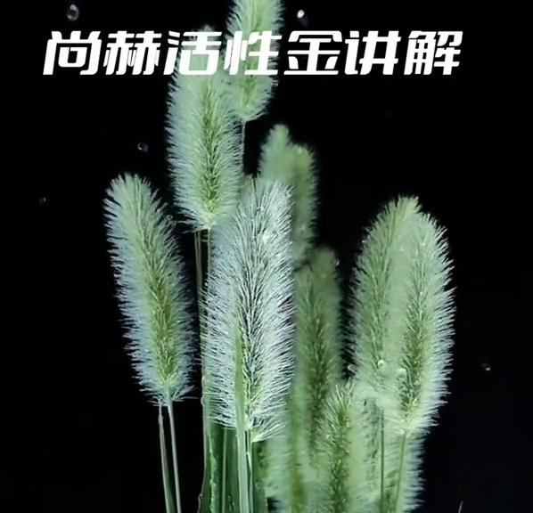 尚赫仪器多少钱一台正品,尚赫公司是合法的吗