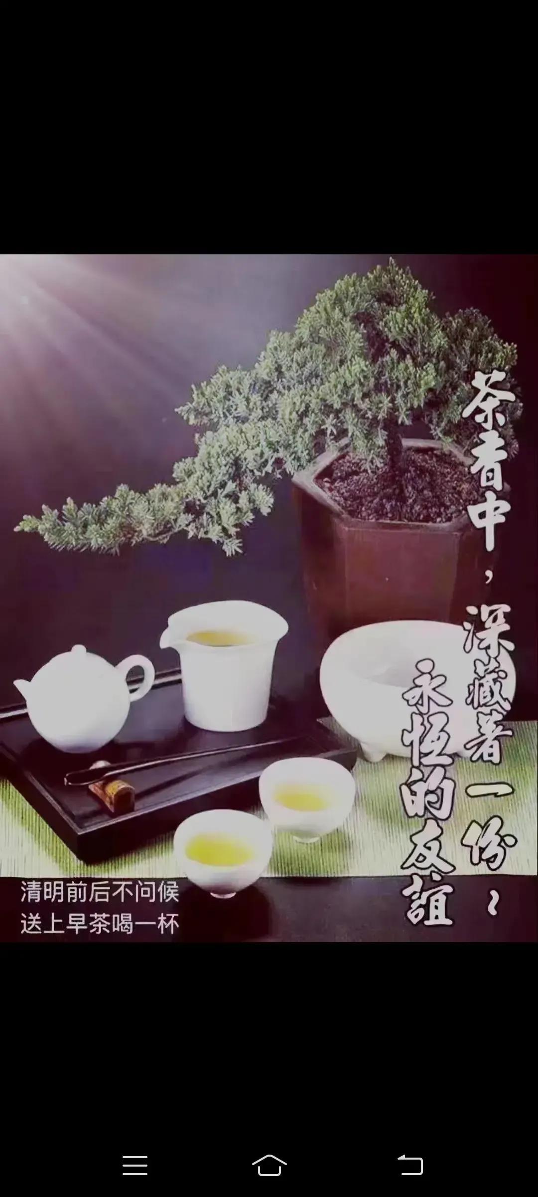 2023年农历是什么年癸卯年,2023年农历癸卯年是金兔年吗