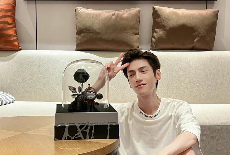 罗云熙的人生成就,罗云熙大器晚成