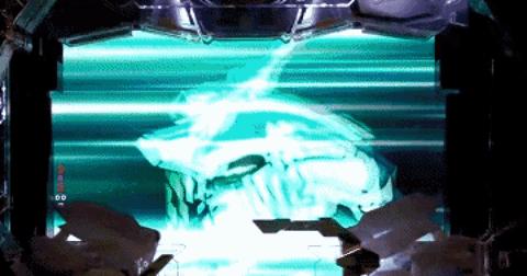 为了在赌博机上看动漫，日本人把*裤底**都*哈梭**没了