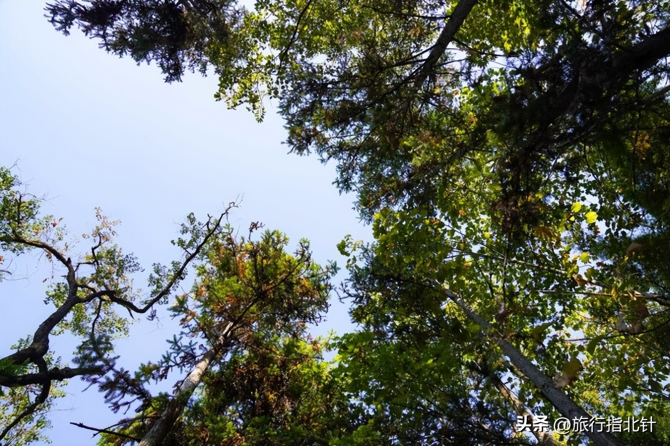福建旅游攻略武夷山,福建武夷山旅游攻略一日游