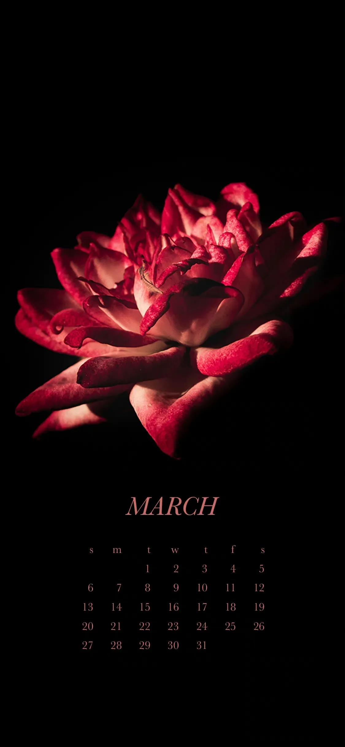 三月日历壁纸电脑,三月日历锁屏