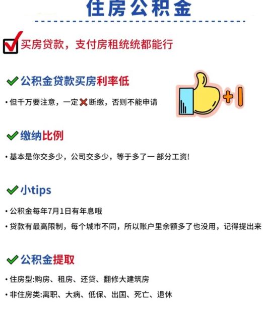 五险一金科普动画,缴纳五险一金科普