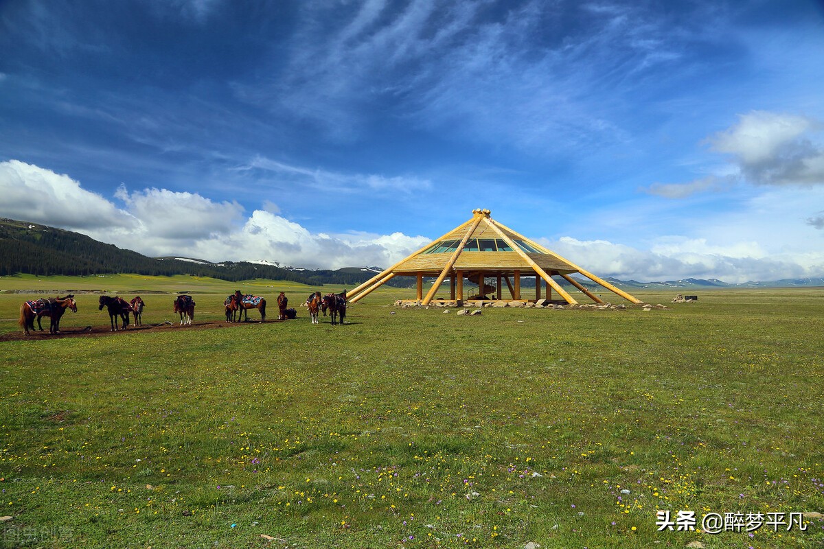 赛里木湖疆内户籍免费吗,赛里木湖疆内旅游团