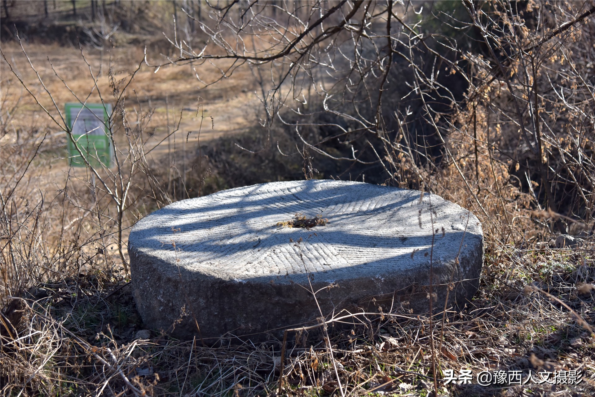 孤山坟墓葬在哪里好,孤山上的坟墓
