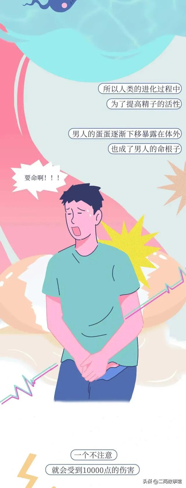 科普：男人的“蛋蛋”到底为什么那么脆弱？