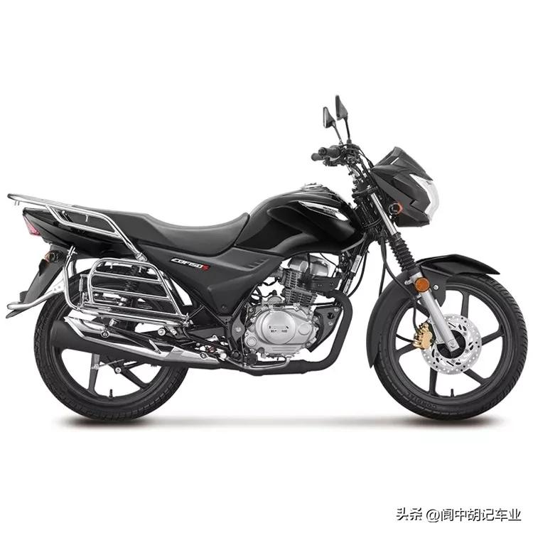 本田骑士车,本田猎装版旅行车