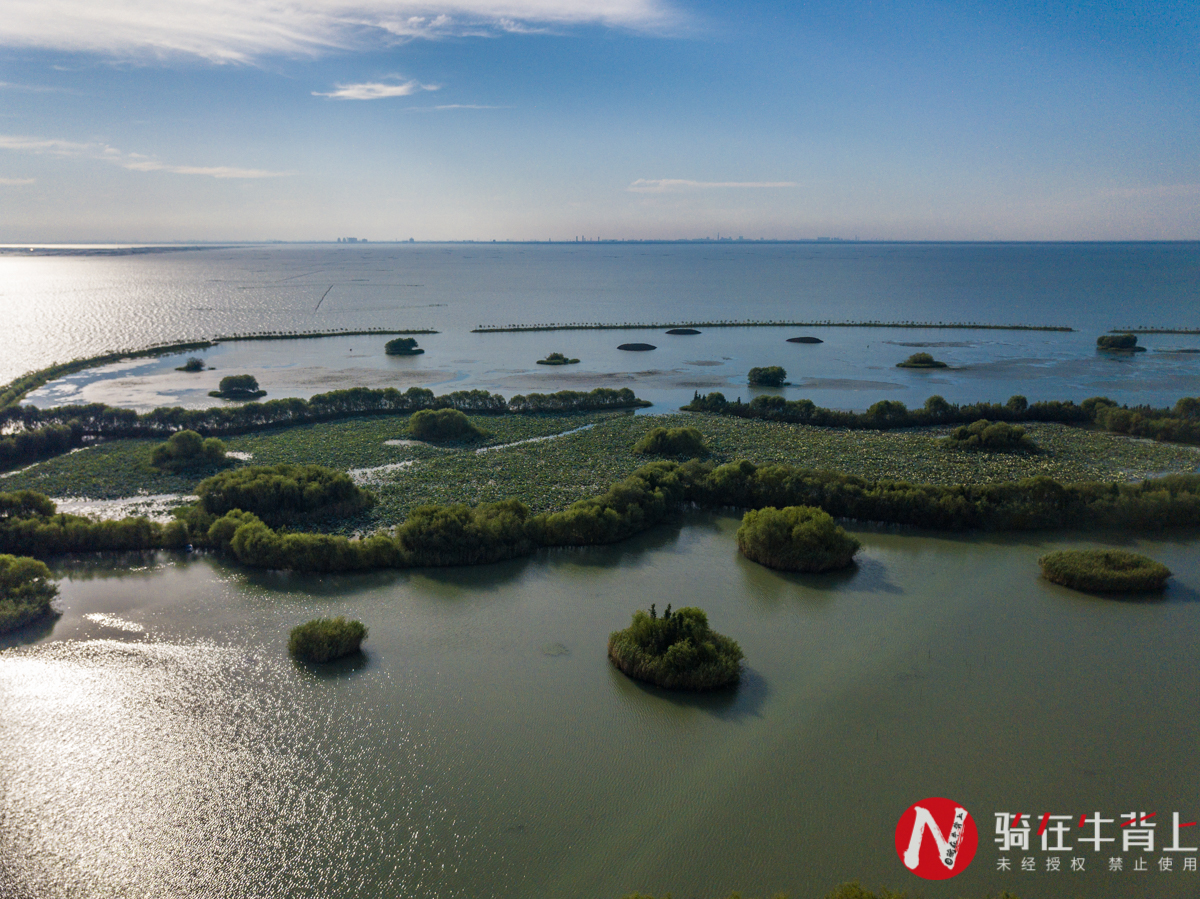 来苏州必去的十大旅游景点,来苏州玩七个景点免费