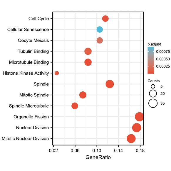 生信分析的工具,生信分析神器