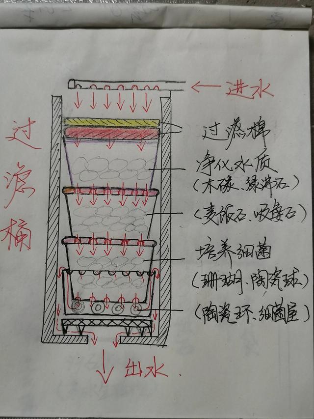 江苏一32岁太太，因“在阳台挖个坑养鱼”而走红，妥妥视觉盛宴