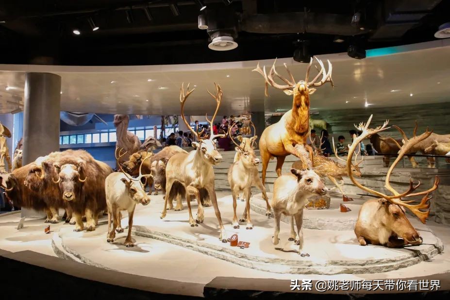 春节上海亲子游乐攻略,上海亲子游乐去哪里