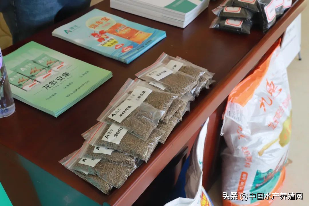 2023年南县小龙虾价格行情,南县小龙虾价格报价