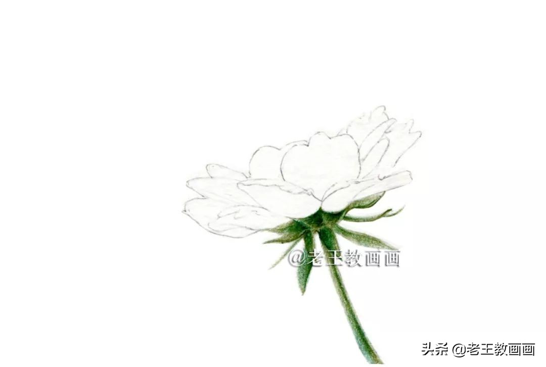 用彩铅画花教程,用彩铅画花小楼